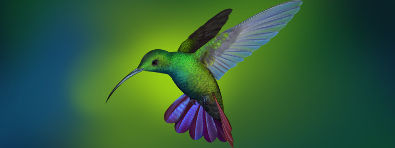 Deepin Desktop Environment