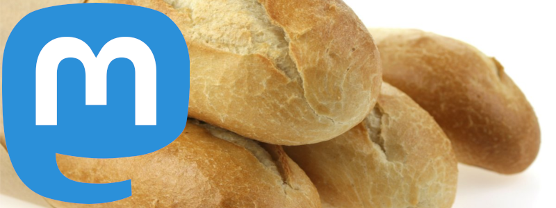 Mastodon cartonne en France